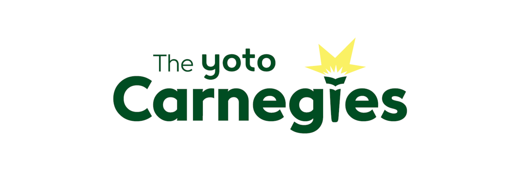 Shadowers' Choice Yoto Carnegie Medal for Writing