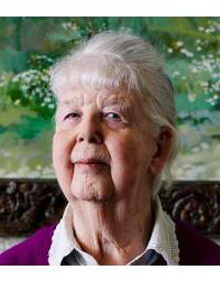 Shirley Hughes Book Pack