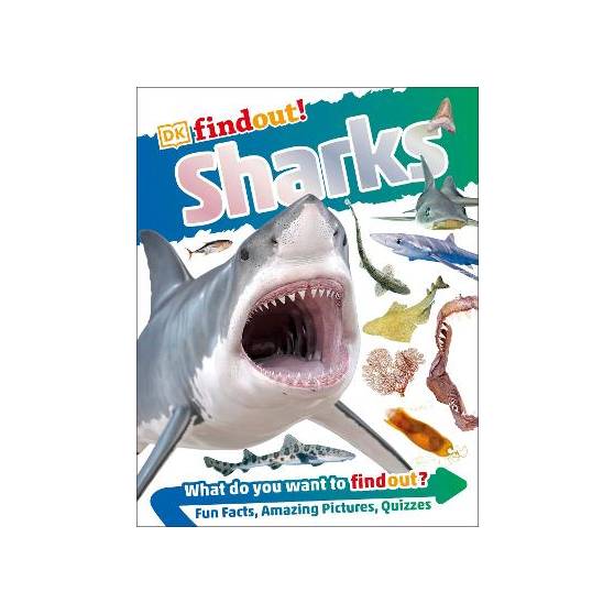 9780241282731 thumbnail