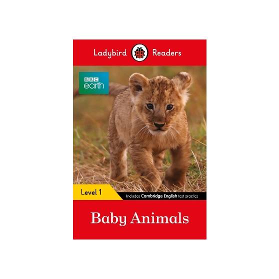 9780241297452 thumbnail