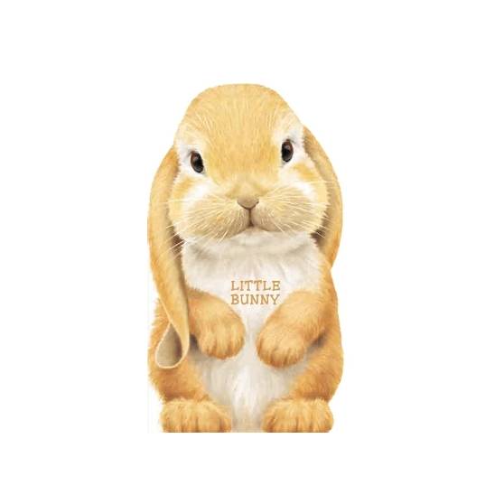 9780764163227 thumbnail