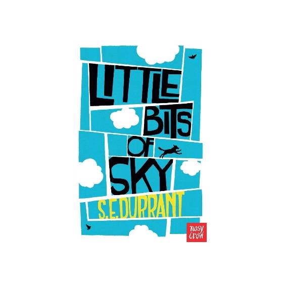 9780857633996 thumbnail