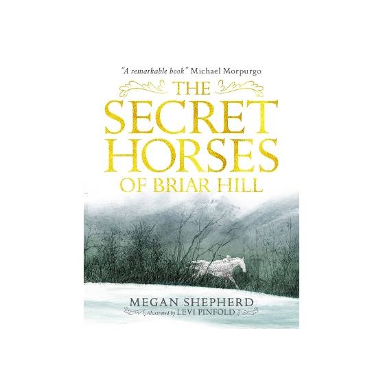 9781406373554 thumbnail