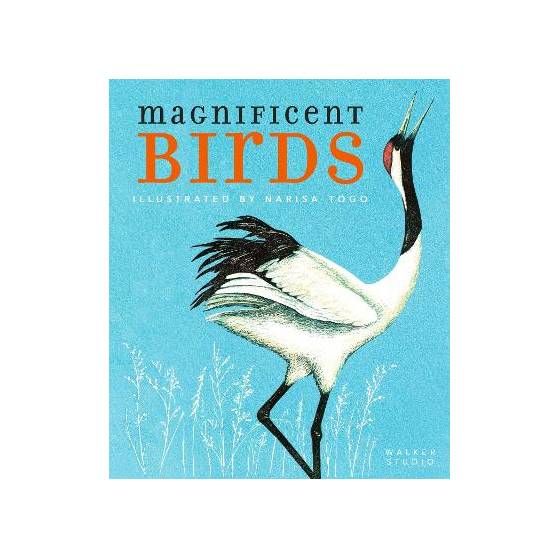 9781406393088 thumbnail