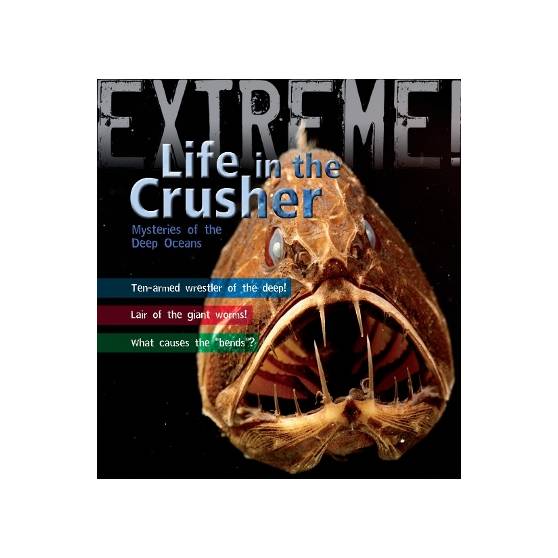 9781408101179 thumbnail