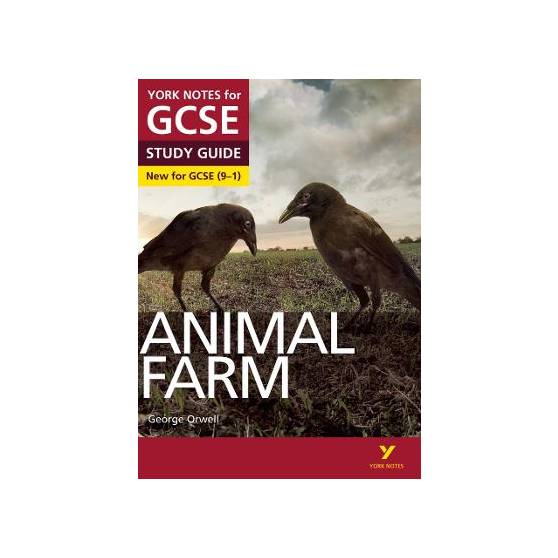 9781447982135 thumbnail