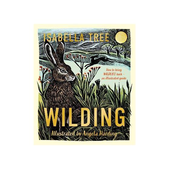 9781529092844 thumbnail