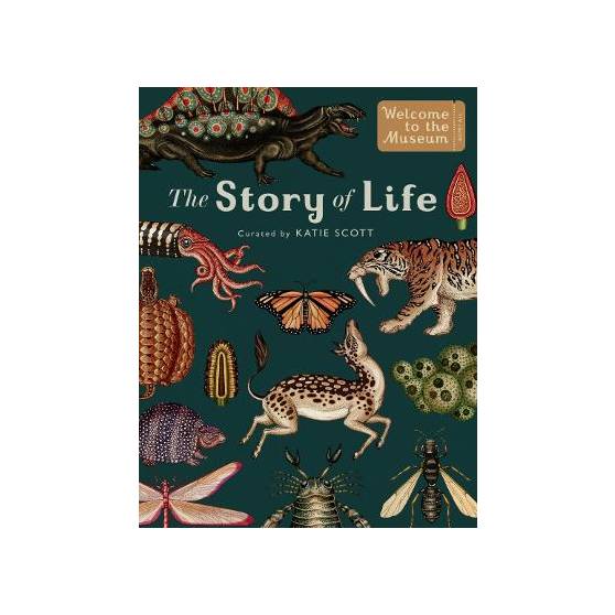 9781783706822 thumbnail