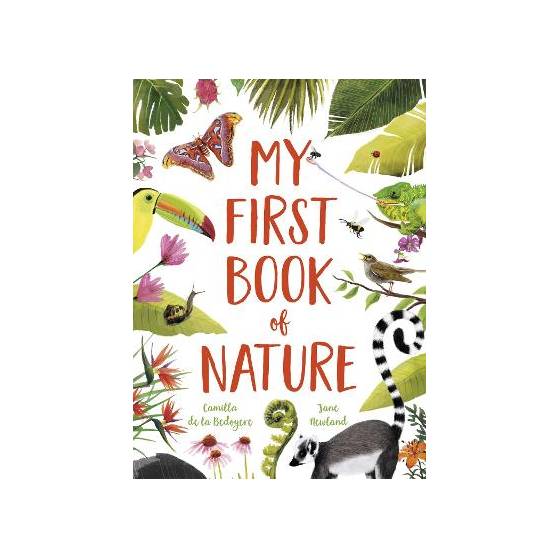 9781787417144 thumbnail