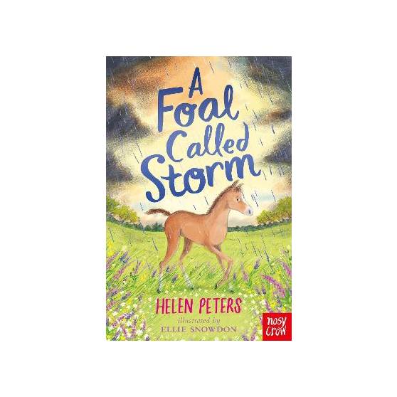 9781788009515 thumbnail