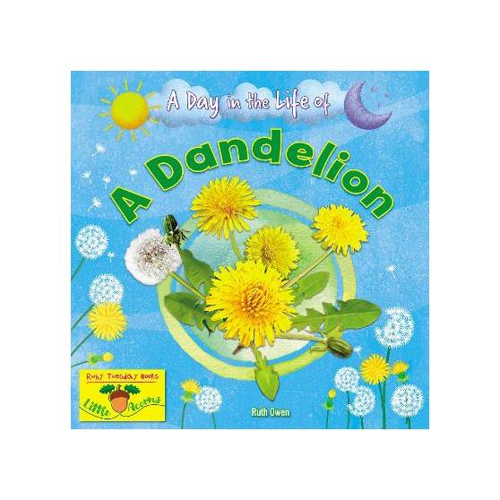 9781788564366 thumbnail