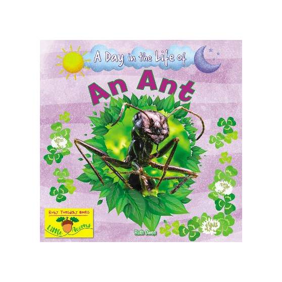 9781788564403 thumbnail