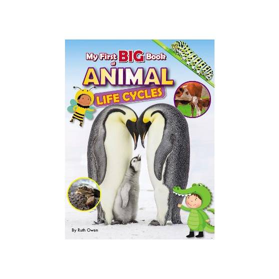 9781788565820 thumbnail