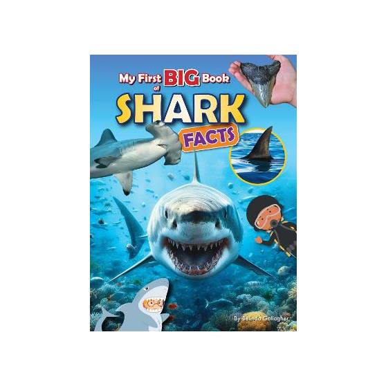 9781788565837 thumbnail