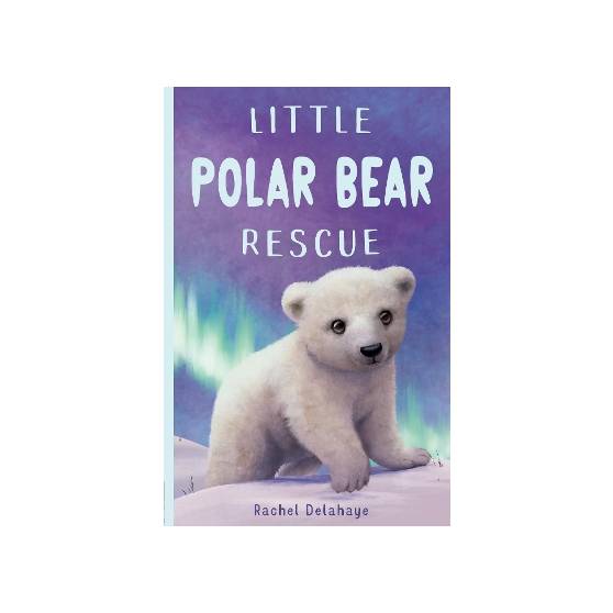 9781788951869 thumbnail