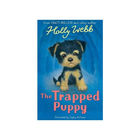 9781788955669 thumbnail