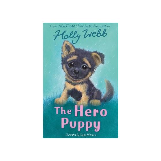 9781788956499 thumbnail