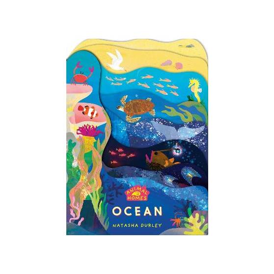 9781800782082 thumbnail