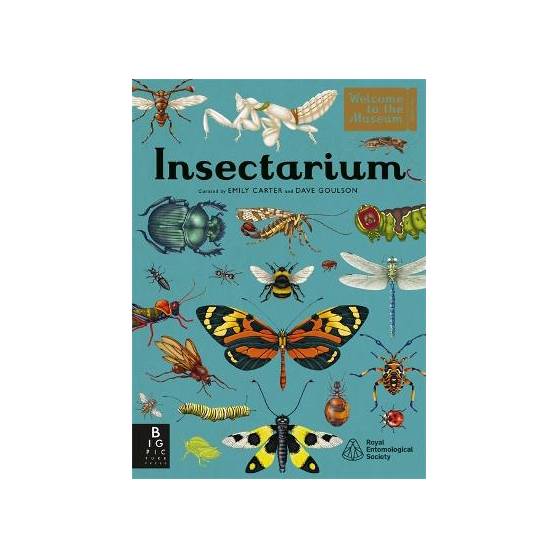 9781800782563 thumbnail