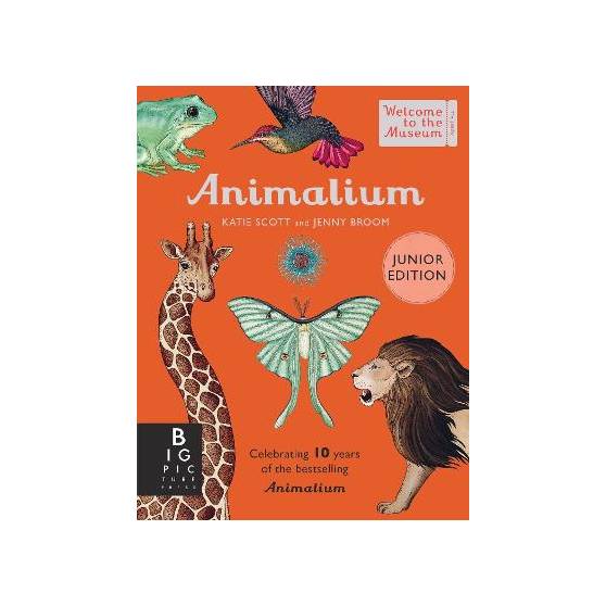 9781800783706 thumbnail