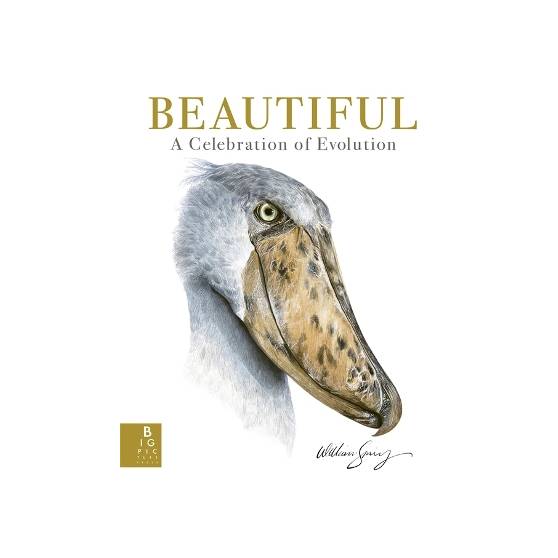 9781800786165 thumbnail