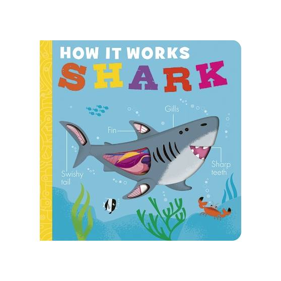 9781801046091 thumbnail