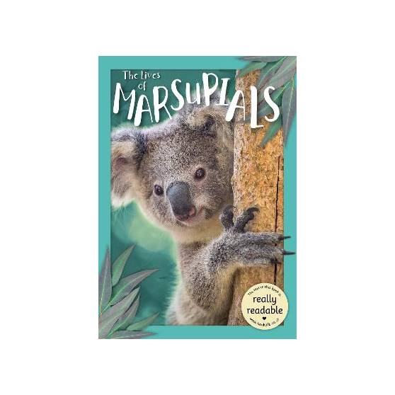 9781801551571 thumbnail