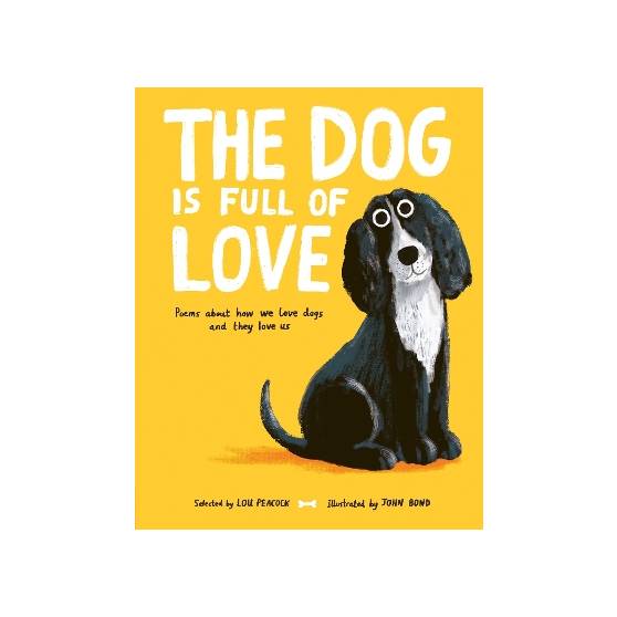 9781805134312 thumbnail