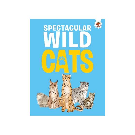 9781835693438 thumbnail