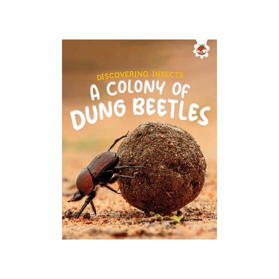 9781835694169 thumbnail