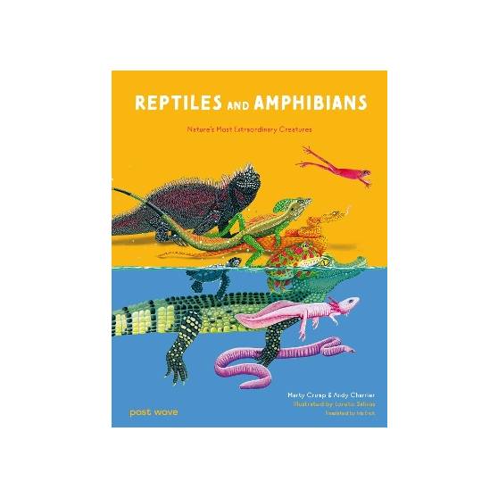 9781836270300 thumbnail