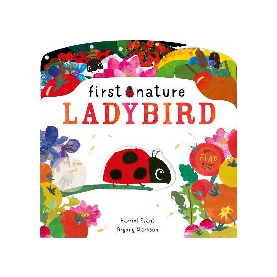 9781838911560 thumbnail