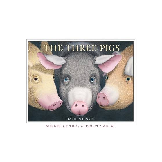 9781849394055 thumbnail