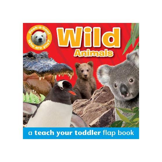 9781909763371 thumbnail