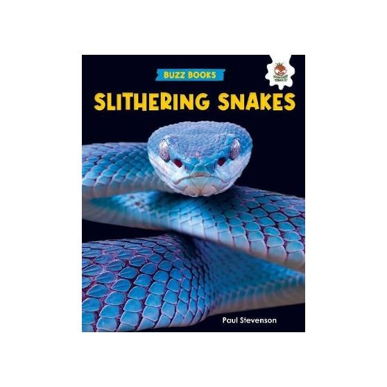 9781916598775 thumbnail