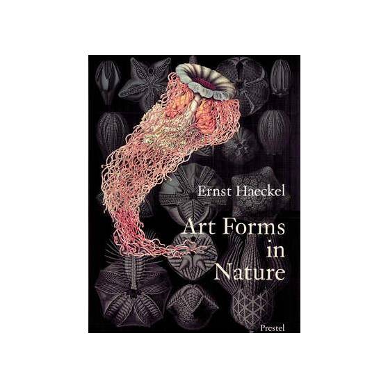 9783791319902 thumbnail