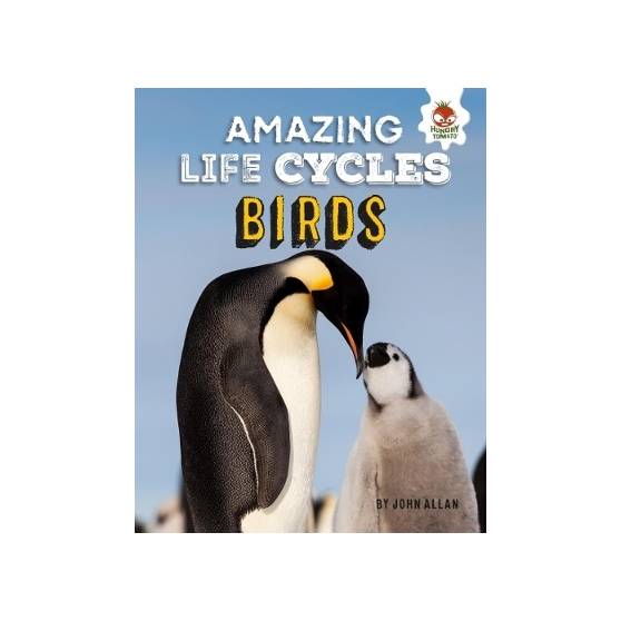 9781912108367 thumbnail