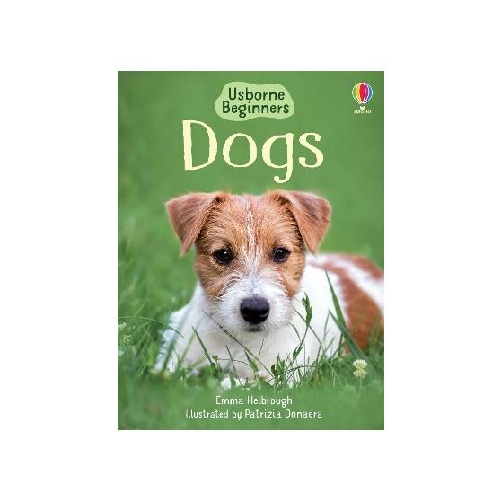 9780746080481 thumbnail