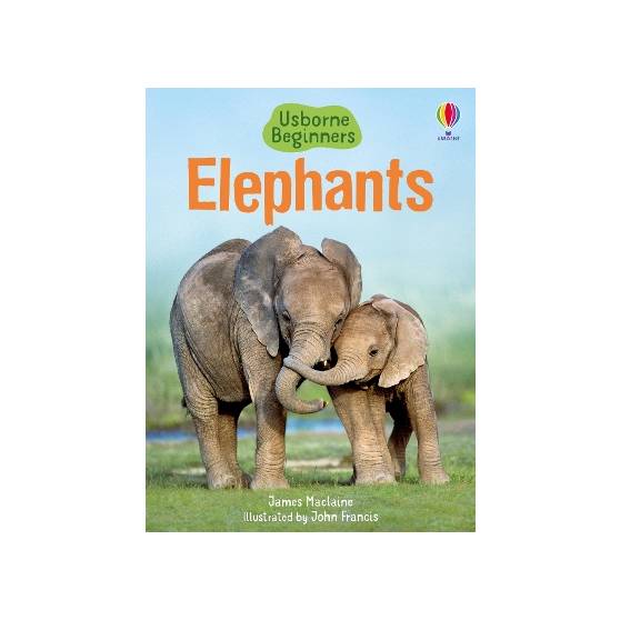 9781409530497 thumbnail