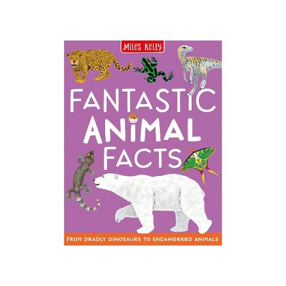 Fantastic Animal Facts Fantastic Animal Facts