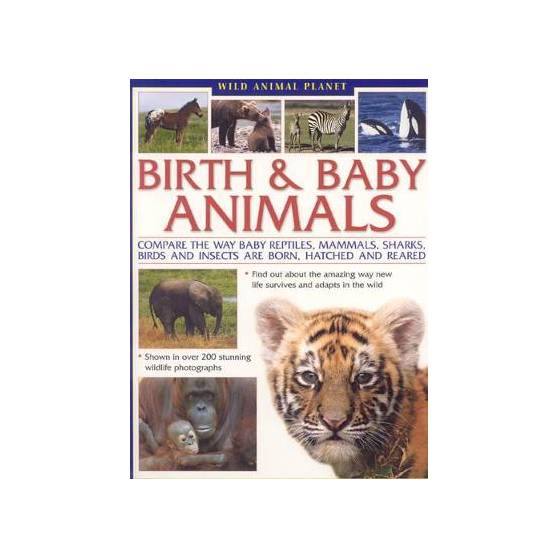 Wild Animal Planet: Birth and Baby Animals*** Out of Stock Wild Animal Planet: Birth and Baby Animals*** Out of Stock