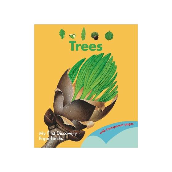 9781851037681 thumbnail