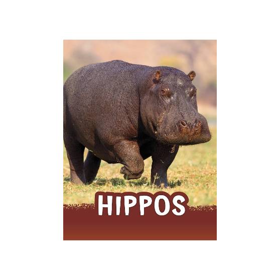 9781398238756 thumbnail