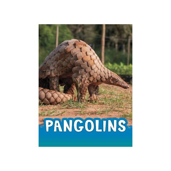 9781398238831 thumbnail