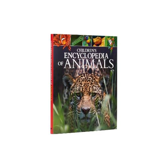 9781784288143 thumbnail