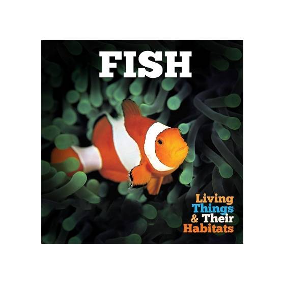 9781786370020 thumbnail