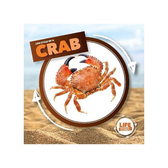 9781786379344 thumbnail