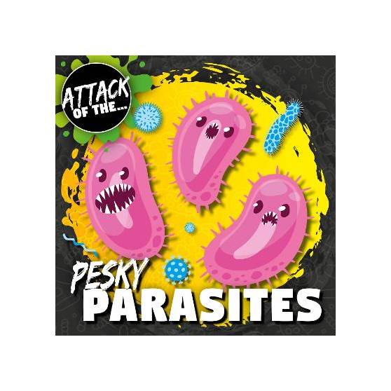 9781801559256 thumbnail