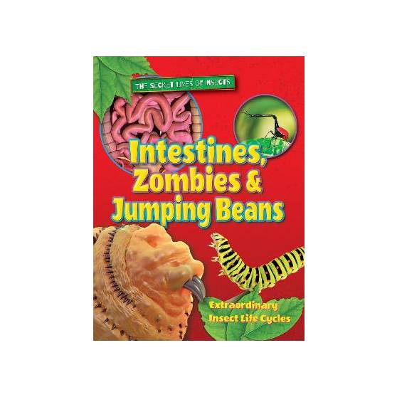 9781788560023 thumbnail