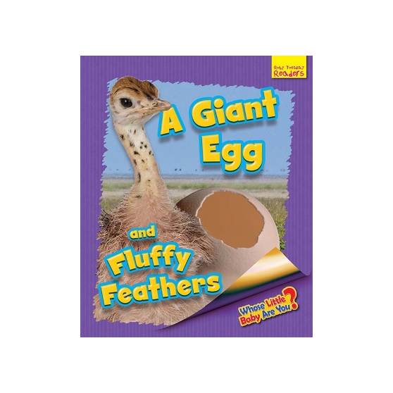 9781911341581 thumbnail